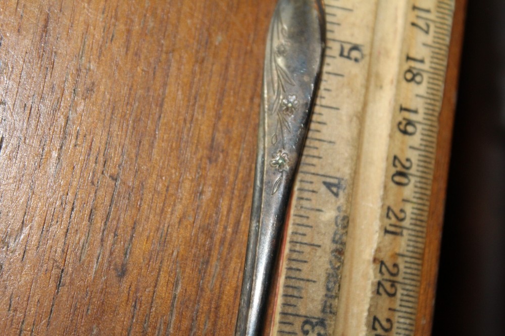 Vintage Tea Spoon Rogers Silver Plate Springtime Pattern