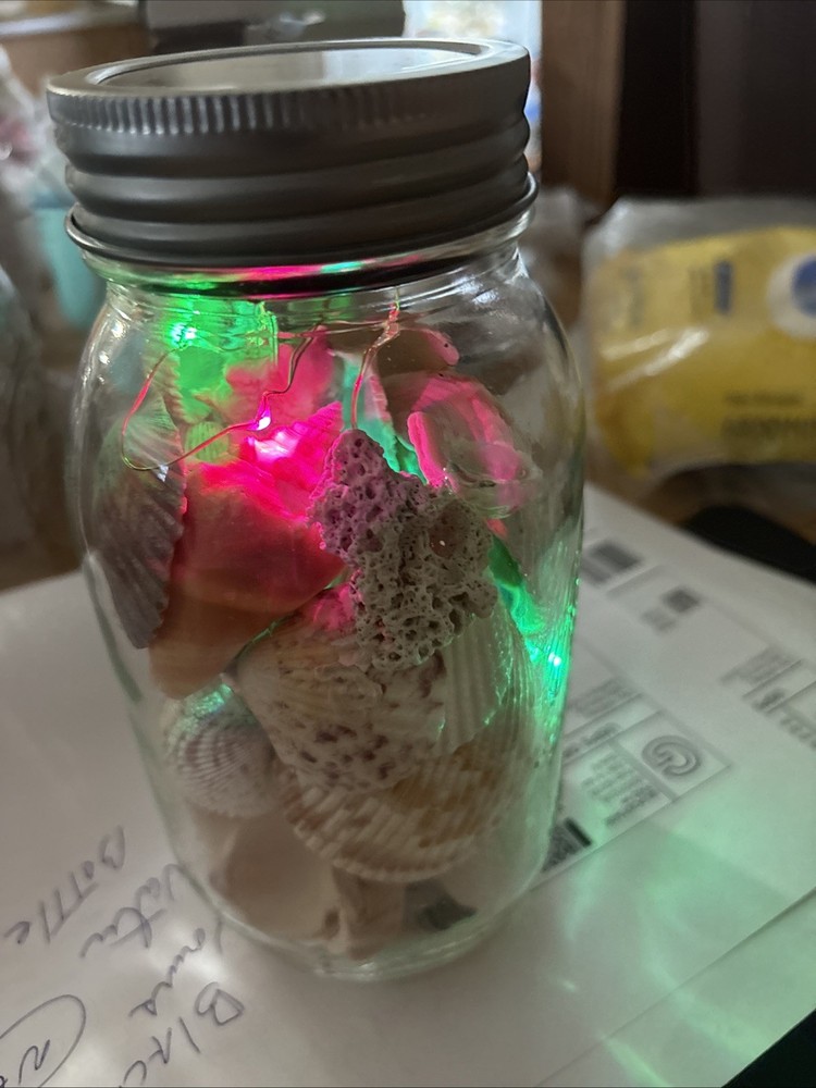 Shells In Lighted Jar