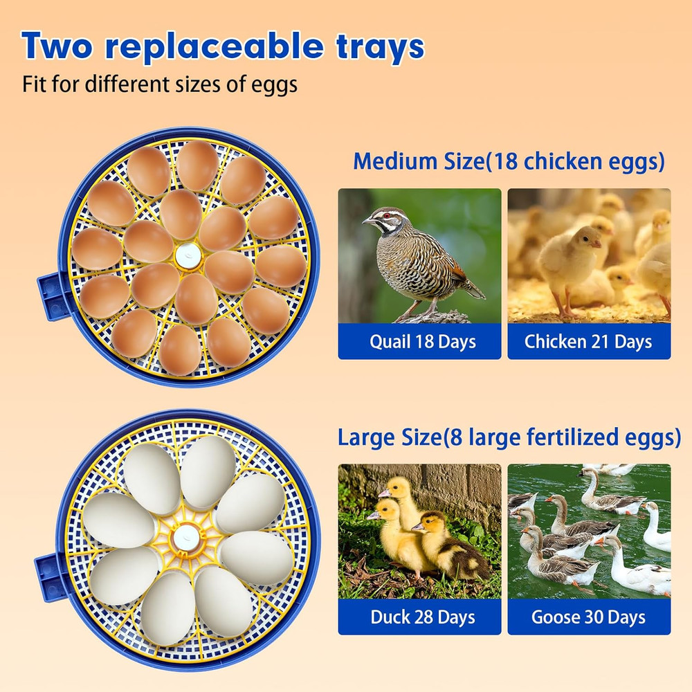 18 Egg Incubator Automatic Egg Turner Temperature & Humidity Control, Incubators
