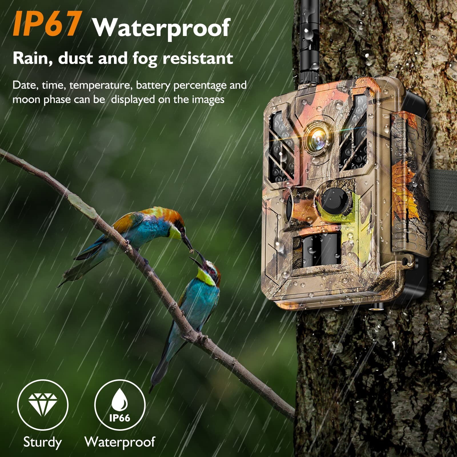 Solar Trail Camera WiFi 4K 36MP Wildlife Hunting Game Cam Nightvision Waterproof