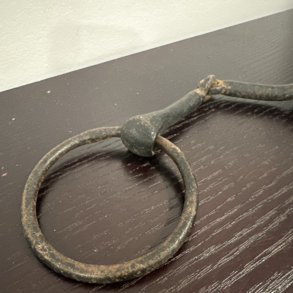 Old horse bit