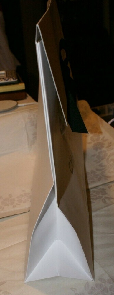 CHANEL Empty ENVELOPE BAG with Cameila