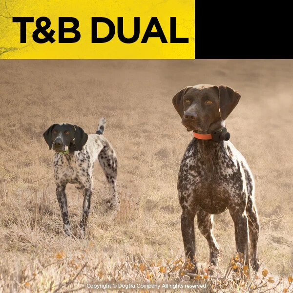 Dogtra T&B RX Green - 1.5 Miles - Additional Collar