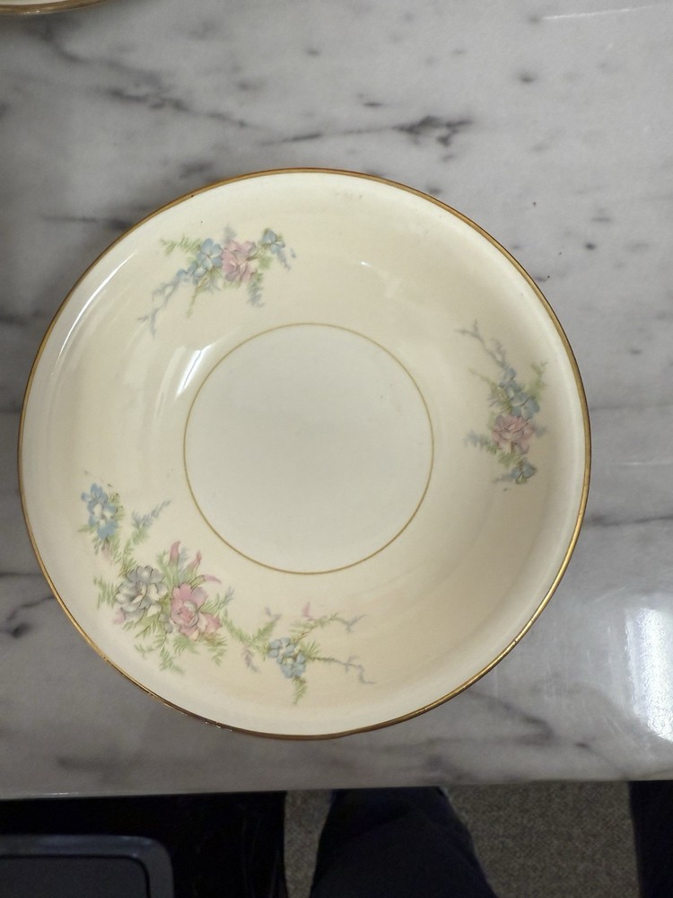 Nautilus Floral Gold Trim Dinner Set- eggshell