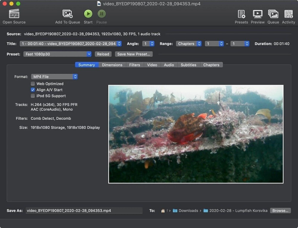 Pro 2026 Video Converter Software - Transcode Compress & Rip For Windows on USB