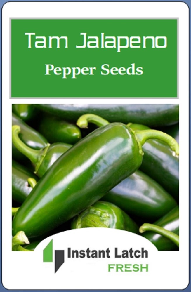 Tam Jalapeno Pepper Seeds | NON-GMO | Heirloom | Fresh Garden Seeds