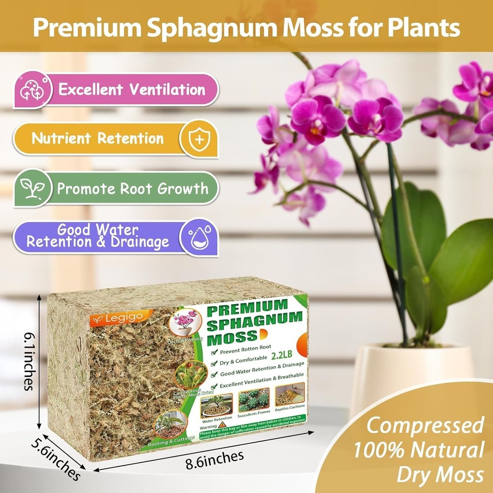 Natural Succulent Carnivorous Moss - 2.2lbs