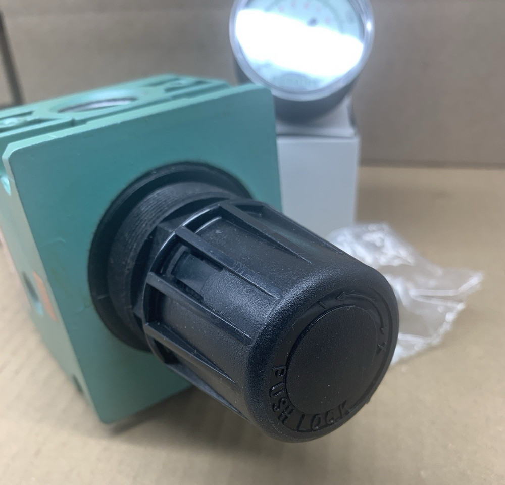 NUMATICS P30B-06AGM REGULATOR FILTER **NEW***
