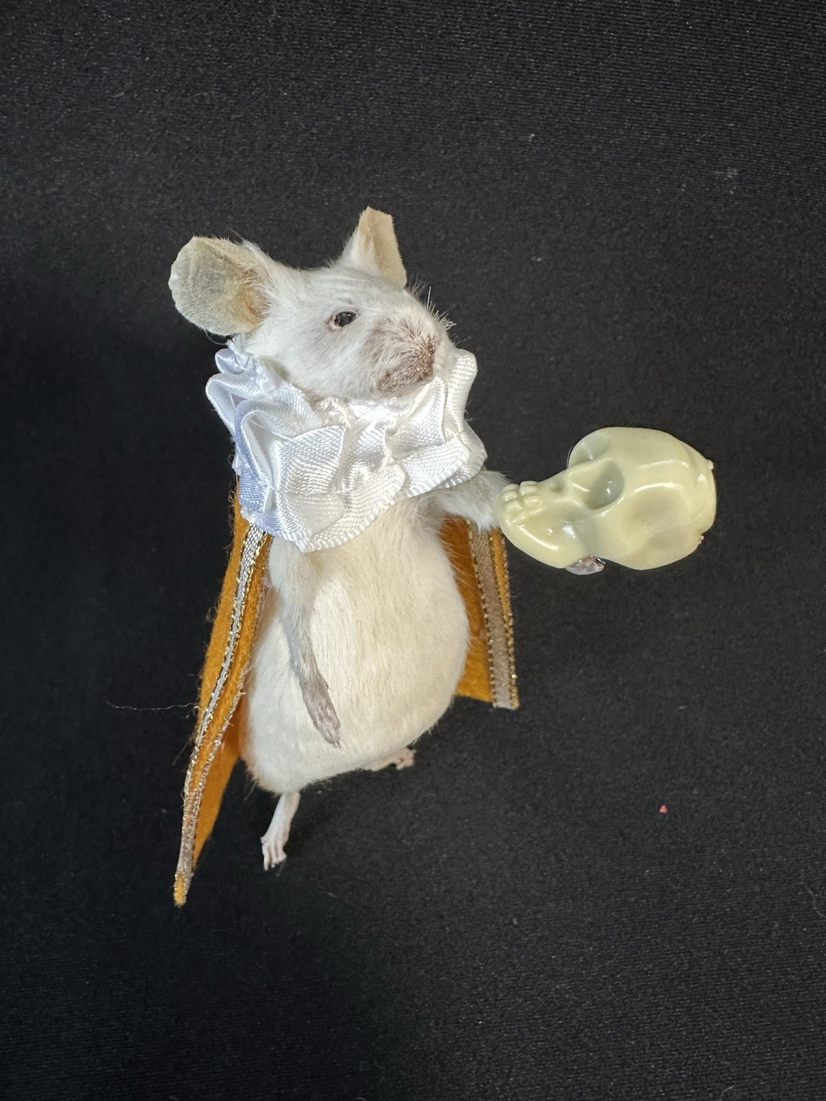 Taxidermy Mouse Hamlet Mouse Oddities Curiosities Taxidermy Art