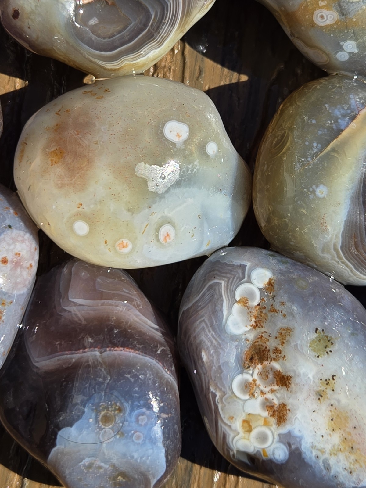 Botswana Agate Selects - DOTS AND SPOTS - Rough, Natural, Not Polished A+ Grade