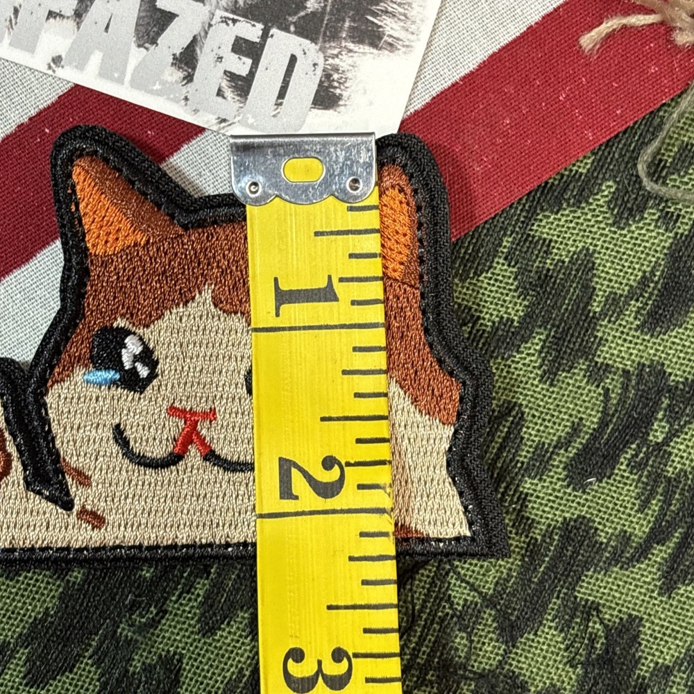 Thumbs Up Cat Dude 3x2” Hook &loop Funny tactical With Backing