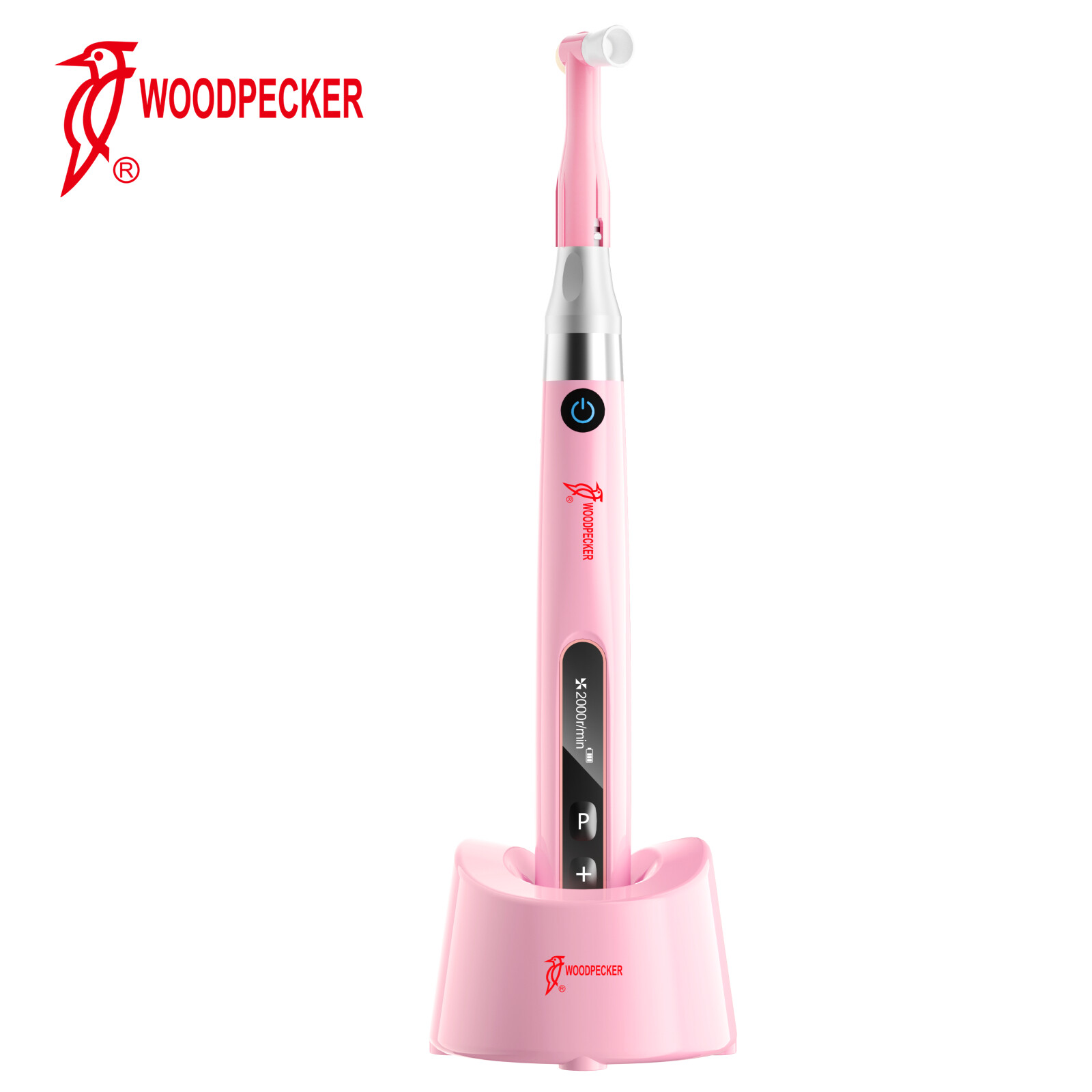 Woodpecker Cordless Hygiene Prophy Mini Handpiece Motor Free Get 100 Soft Angles