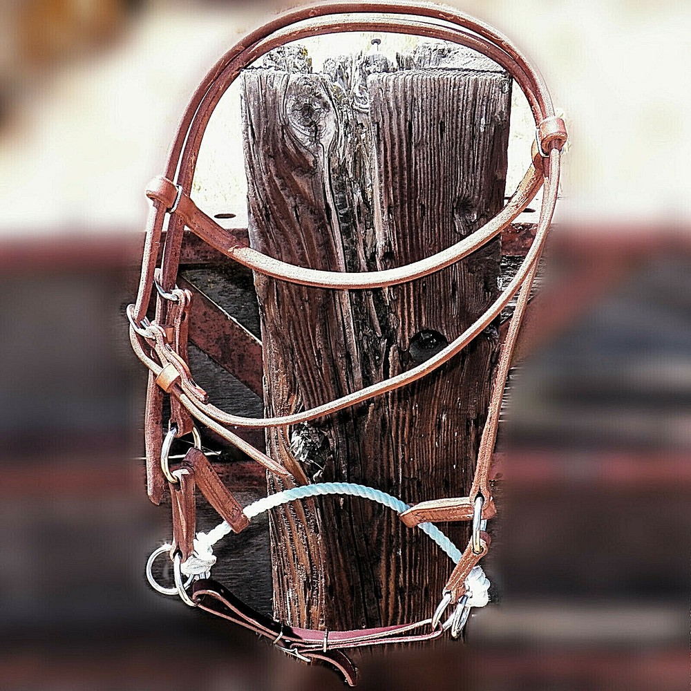 Cowboy Corner USA Made Harness Leather Rope Noseband Sidepull Hackamore Bitless