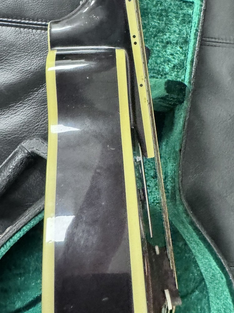 OSCAR SCHMIDT OM 10, Hard Case Great Shape