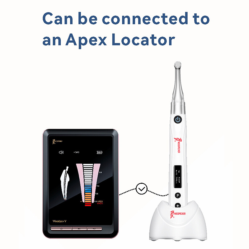 Woodpecker Dental Endo Free Brushless Endo Motor Apex Locator 6:1 Contra Angle