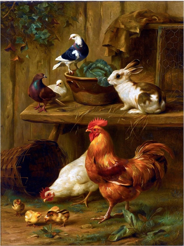 Farmyard Pigeons Chicks Rooster Tile Mural Kitchen Backsplash Marble Ceramic