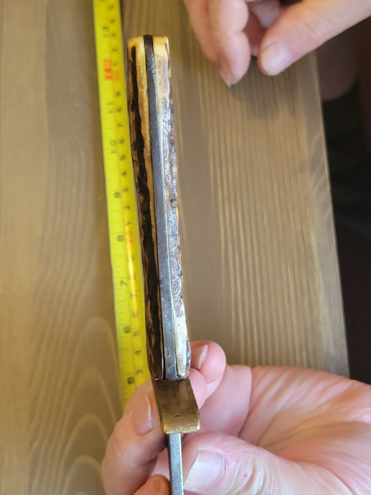 Antique Mid-1800s Stag Handle Fighting Knife with Sheath