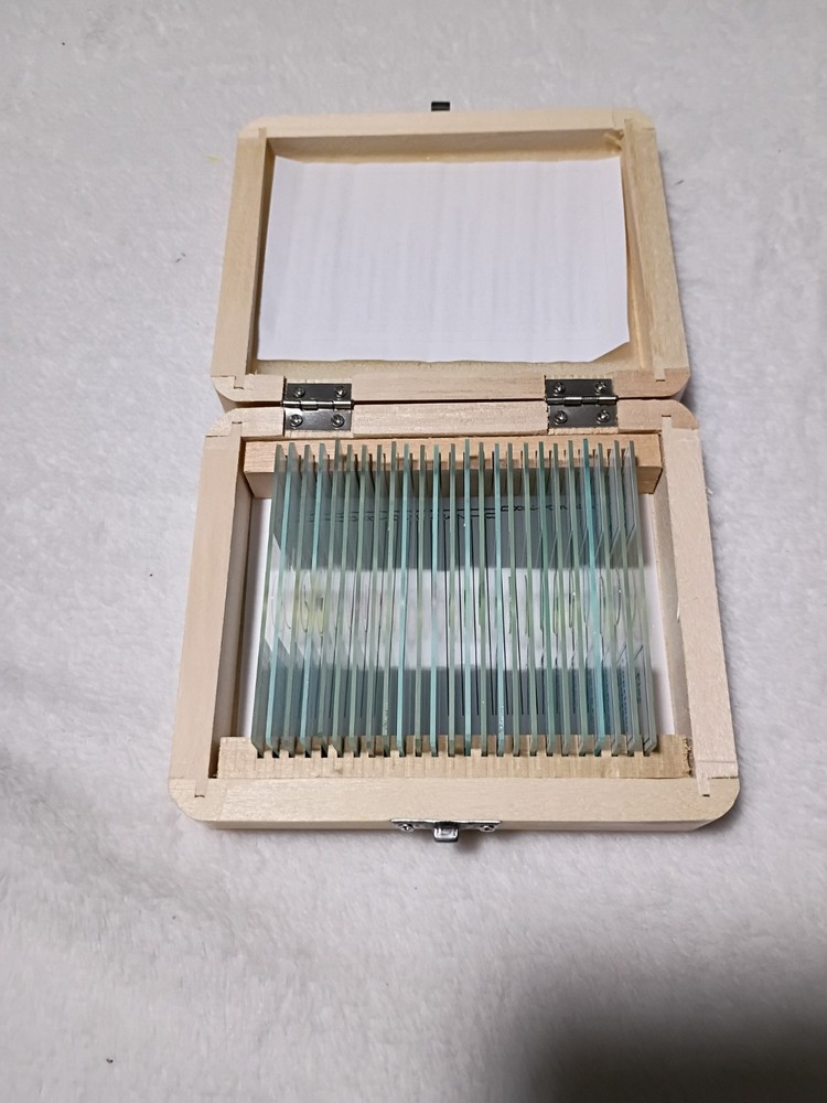 AmScope PS25 Prepared Microscope Slide Set, Basic Biological Science Education