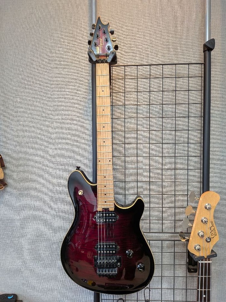 EVH wolfgang special FM