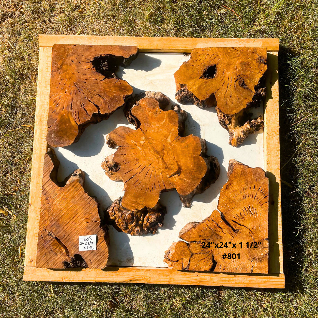 Live Edge Olive Wood for Crafters and Resin Table Makers