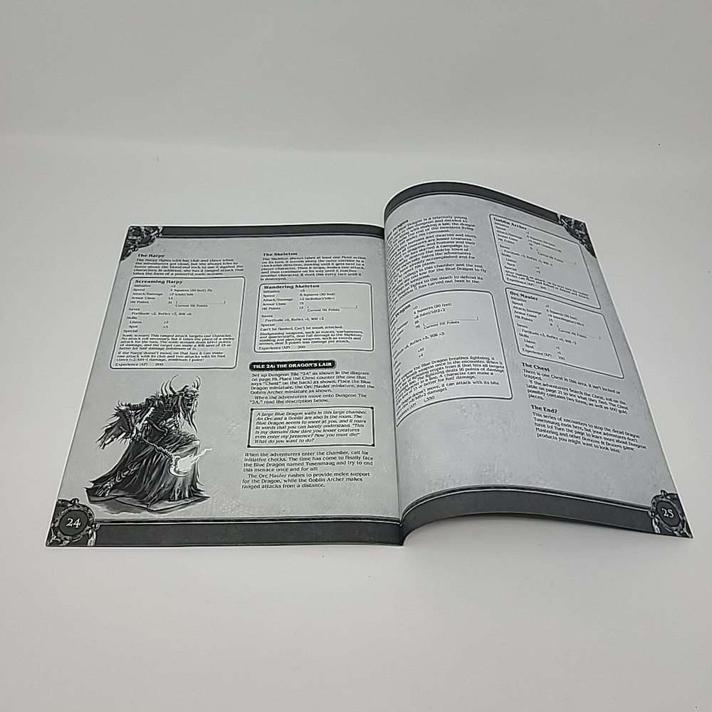 Dungeons & Dragons - Advanced Rule Book for BASIC GAME - 2004 Paperback Book