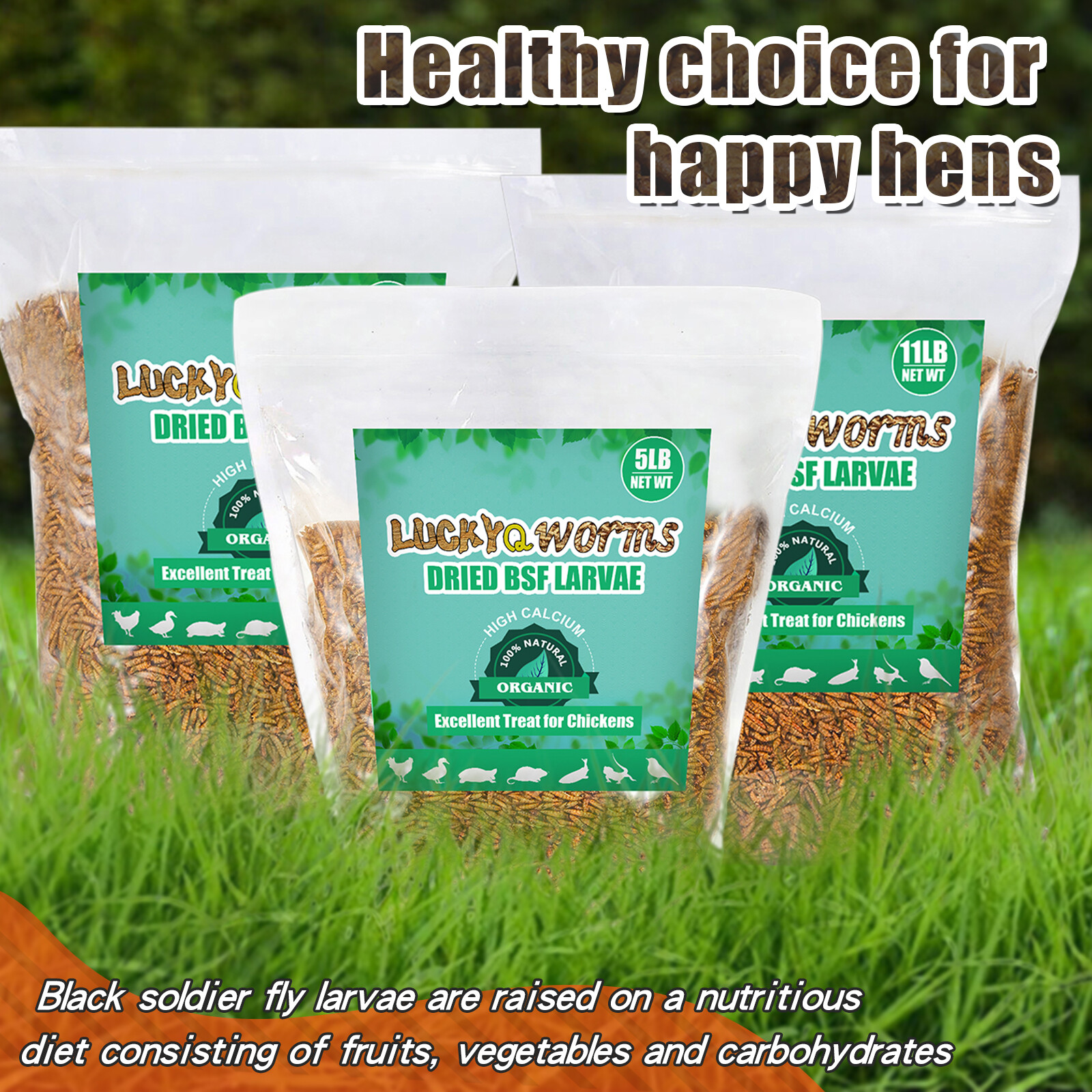 Dried Black Soldier Fly Larvae Mealworms for Chickens Fish Turtles Hen Birds LOT