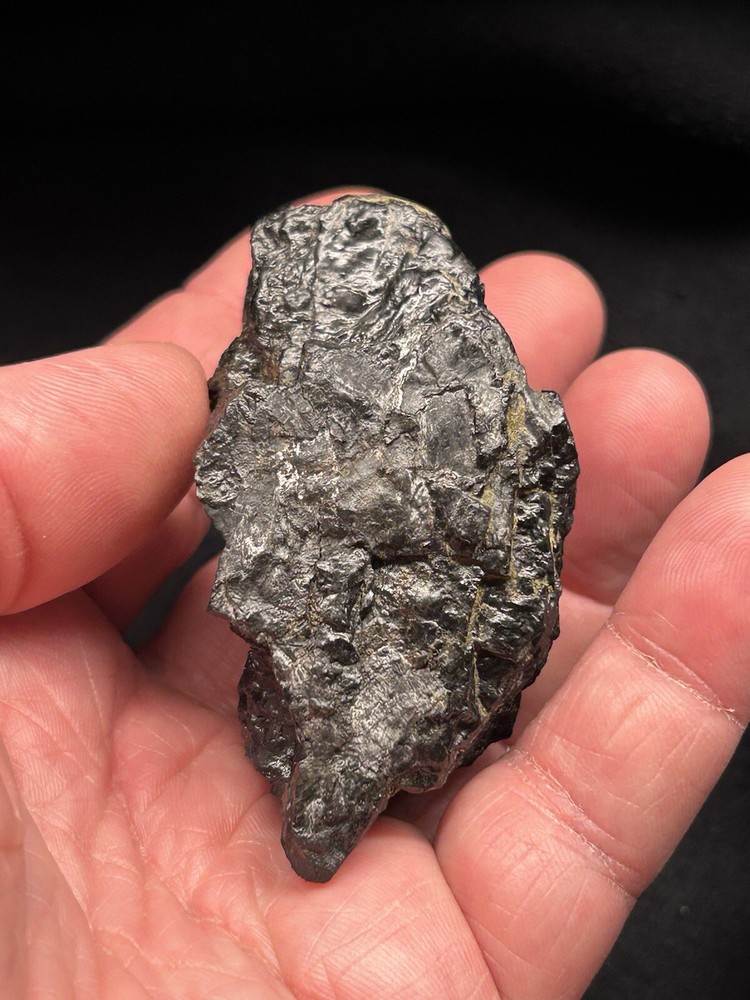 Lower Eagle Ford Cretaceous Coal Zone- Carbonized Dinosaur Age Material, Texas