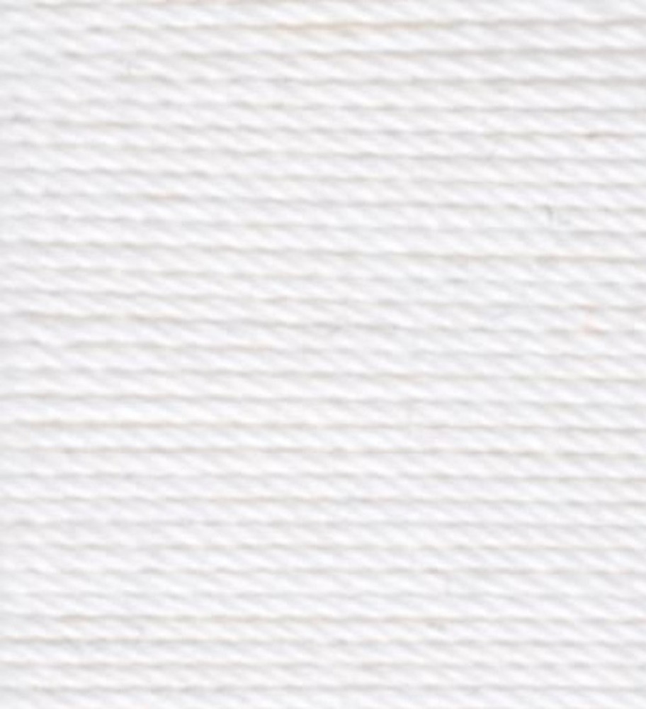 Aunt Lydia's Crochet Thread - Size 3 - (2-Pack) White