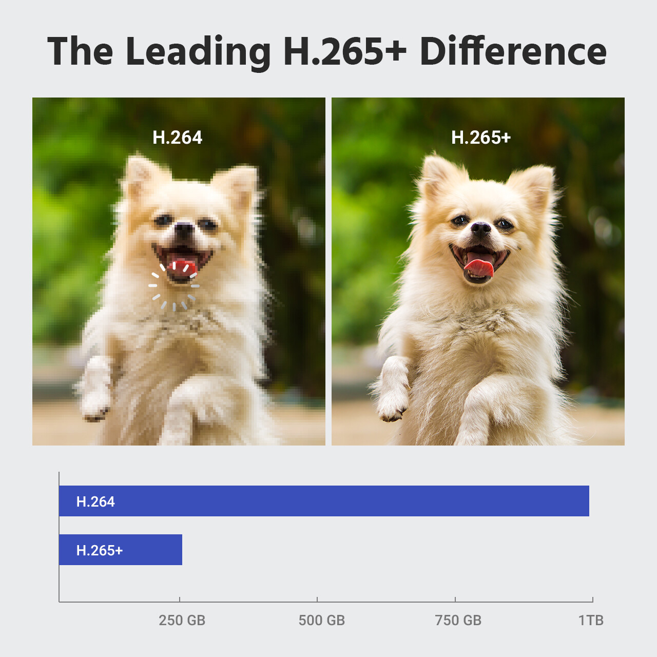 ANNKE 8CH 5MP Lite DVR 1080P CCTV Security Camera System Human Detection H.265+