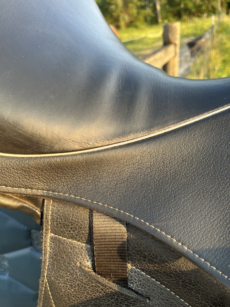 2017 Custom Saddlery Icon Star