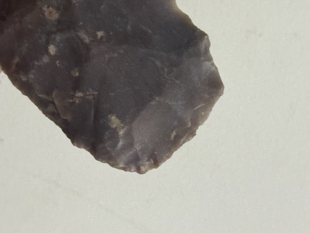 6-3/4 Inch Neolithic Tool