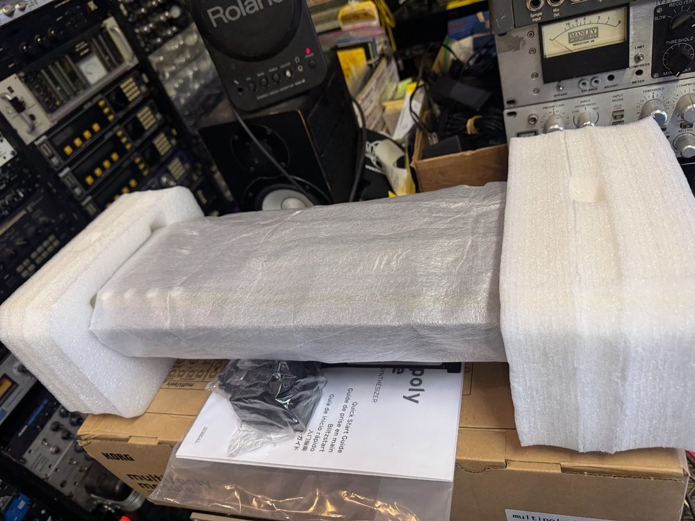 Korg MultipolyM Multi Poly M Analog Modeling Synthesizer Module ARMENS