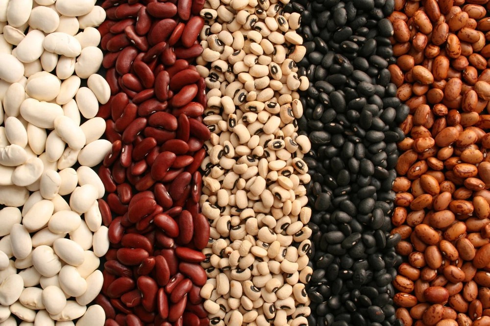 Bulk Dried Beans (select flavor/size below)