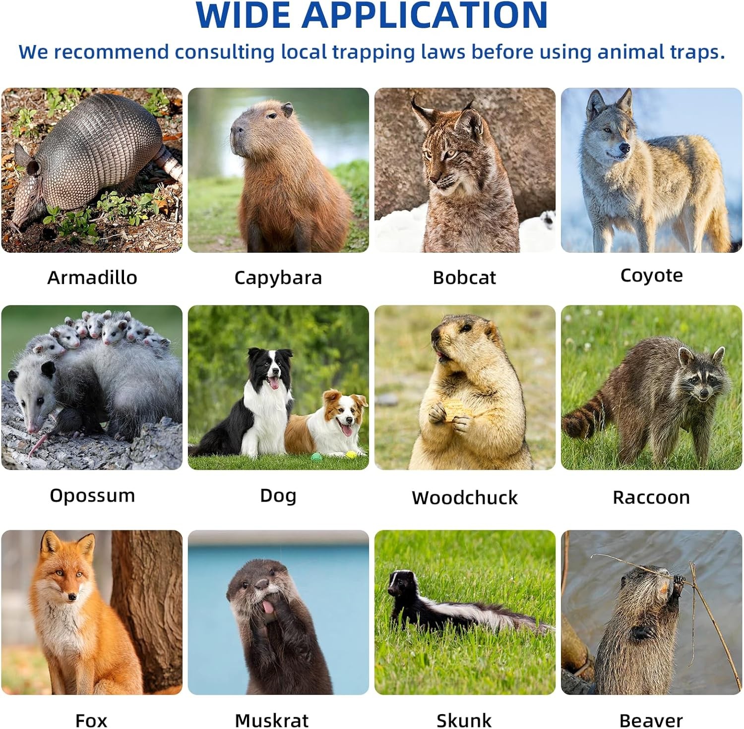 Live Animal Cage Trap 51"x17.4" x18.9" Humane Cat Trap Cats Squirrels Mouse New