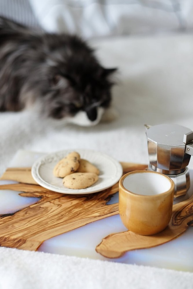 Epoxy Wood Rasin Serving Tray