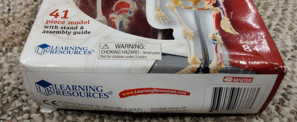 Skeleton, Human Anatomy Model By Learning Resources, Complete, Damaged Box
