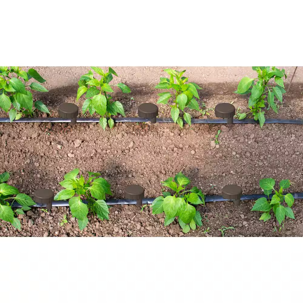 Deep Watering Irrigation Stake