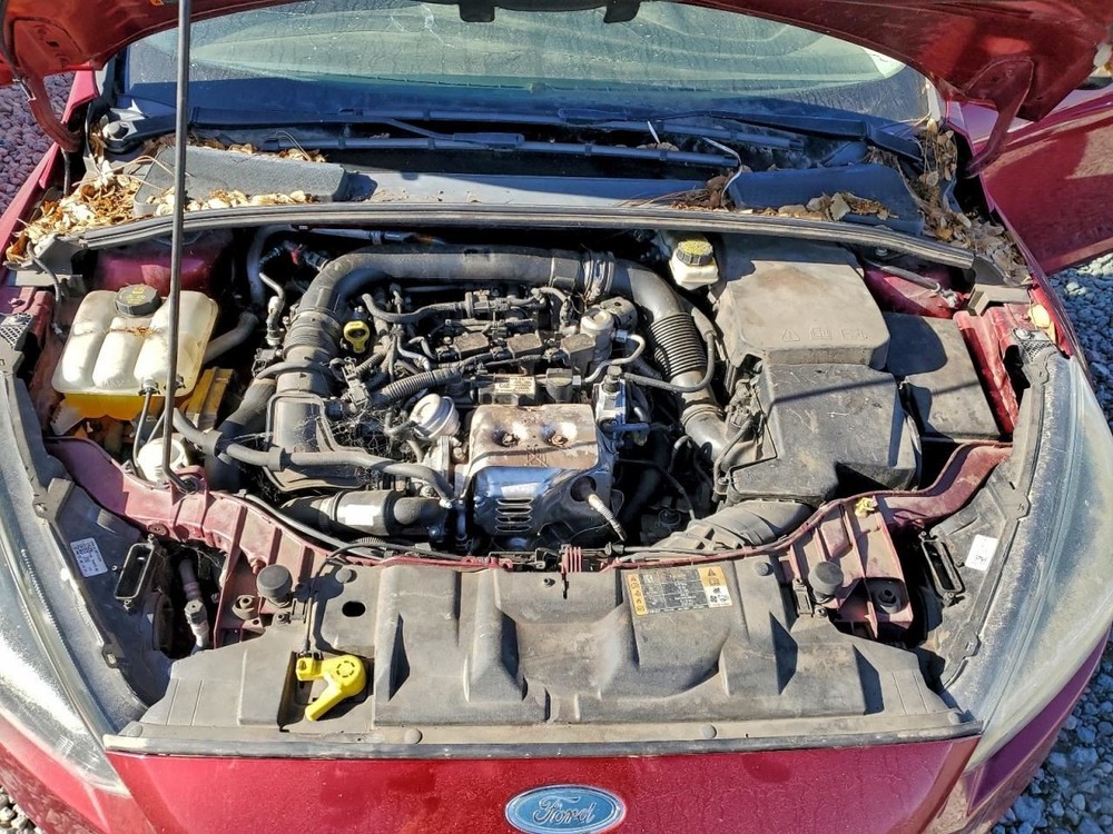 LEFT REAR DOOR WINDOW REGULATOR OEM 2017 FORD FOCUS