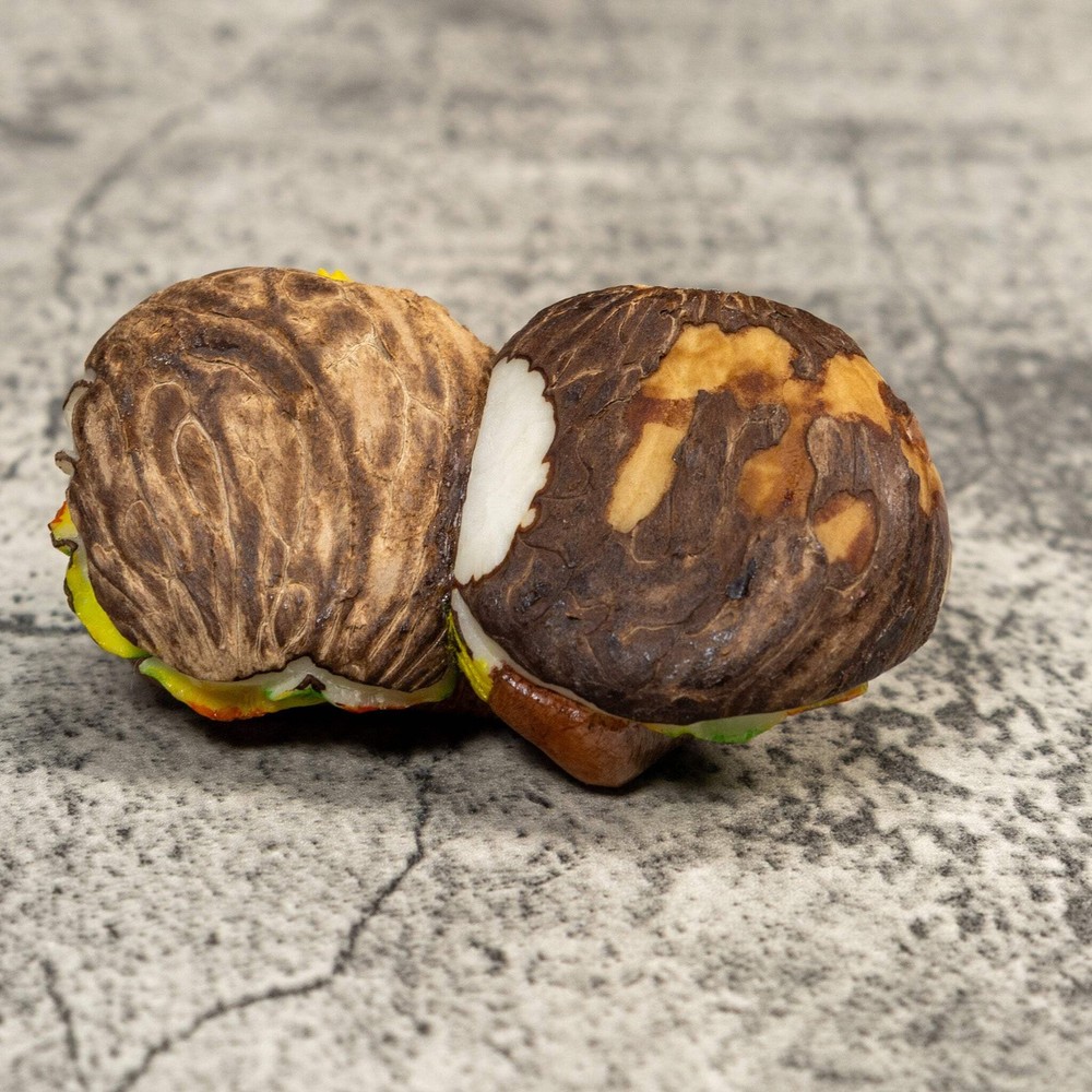 Double Nut Sloth Tagua Carving