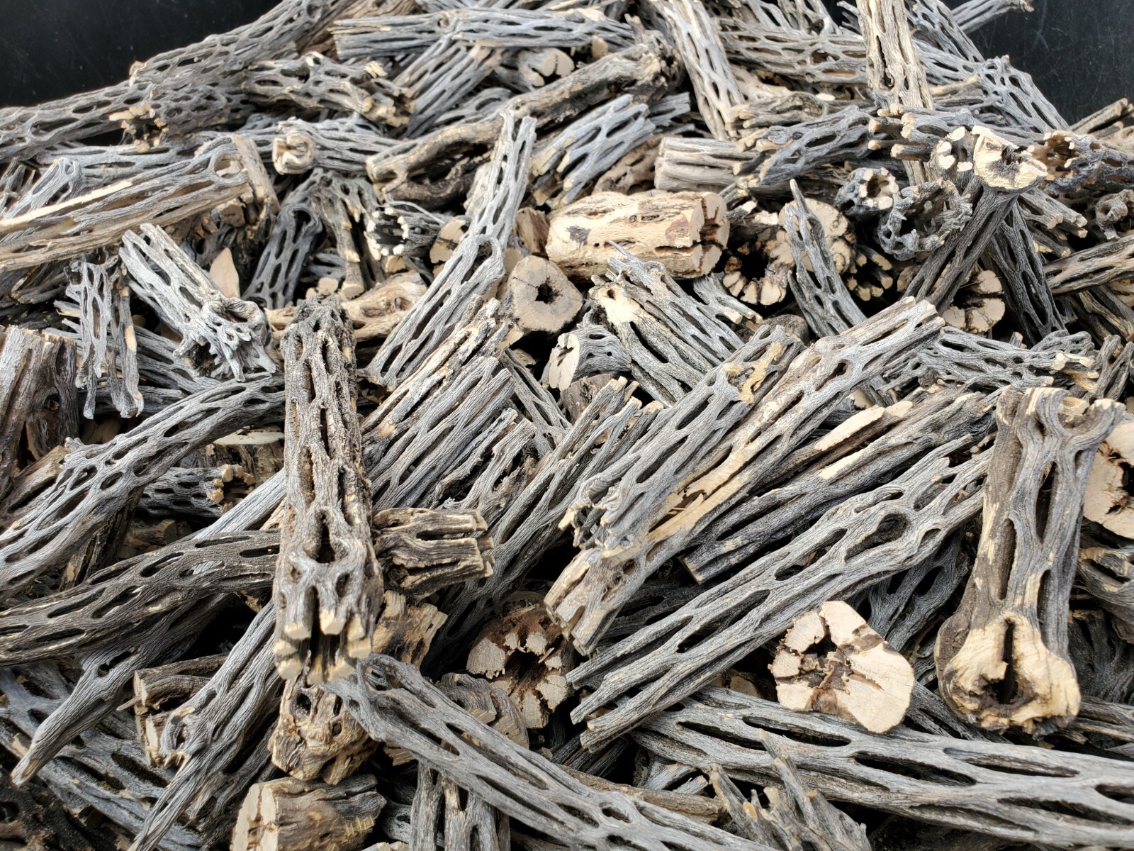 2+ LBS CHOLLA Wood CUTOFFS | Whole Pieces Split Halves Bits | Aquarium, Crafts