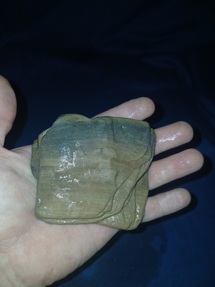 8 oz Texas Petrified Wood