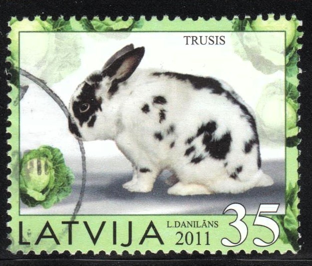 LATVIA 2011 RABBIT single used stamp