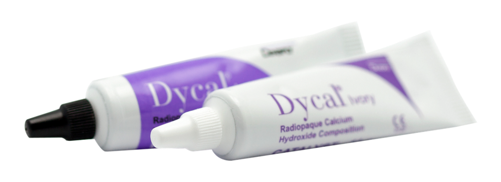 DYCAL Radiopaque Calcium Hydroxide Composition STANDARD PACKAGE