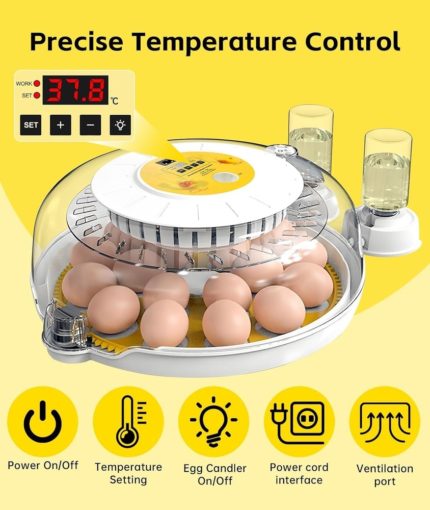 Professional Egg Incubator – 360° Full View, Precise Temperature Control, Automa