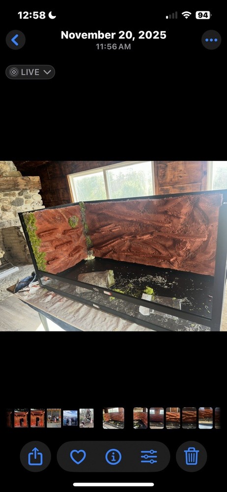 Custom Austrian Lizard Backgrounds many different sizedifferent sizes available.