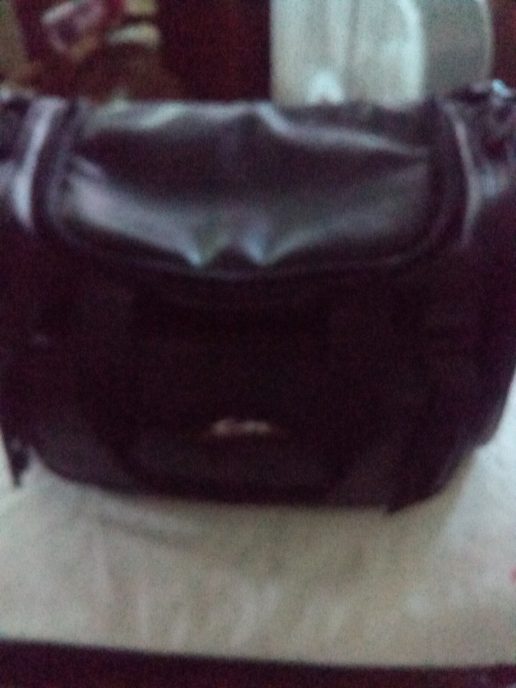 RCA ProV 700c Camera, Charger, Manual, Camera Bag. Needs Battery.