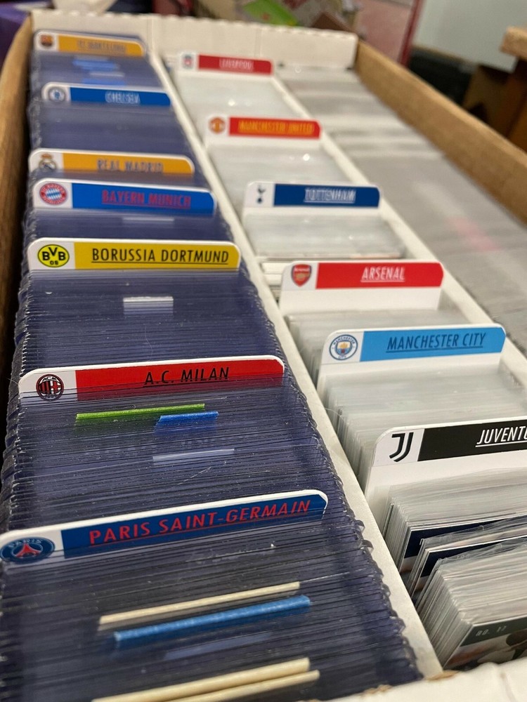 Customized Soccer Labels with BCW Tall Dividers