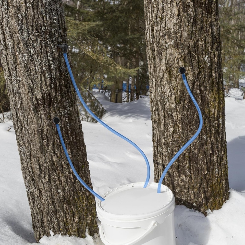 Maple Syrup Tapping Kit, Upgrade Maple Taps Set Include (15) Maple Syrup Taps, 1
