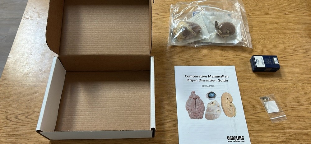 Carolina Comparative Organ Dissection Kit