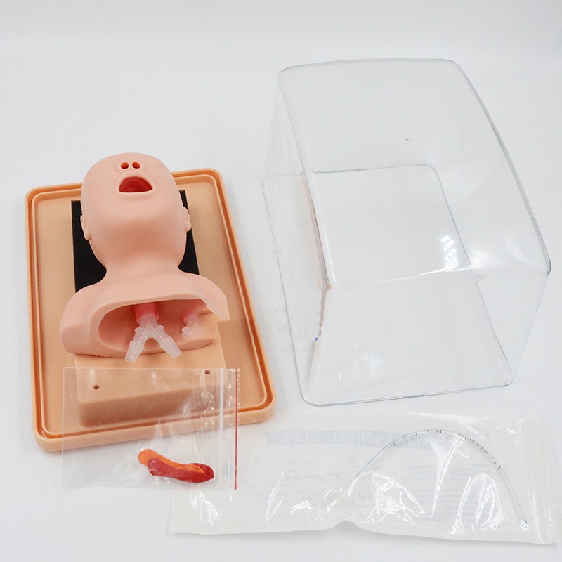 Newborn Neonatal Tracheal Intubation Training Model